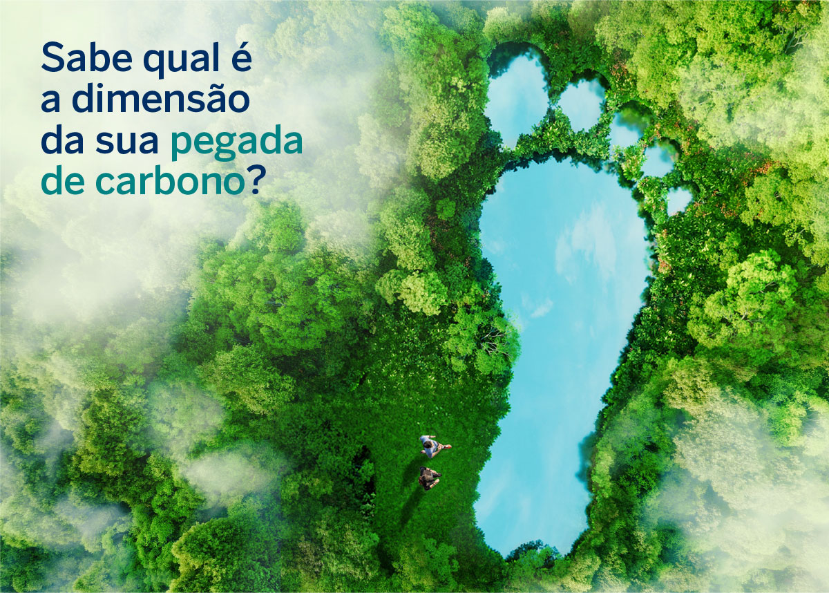 Sabe qual é a dimensão da sua pegada de carbono?