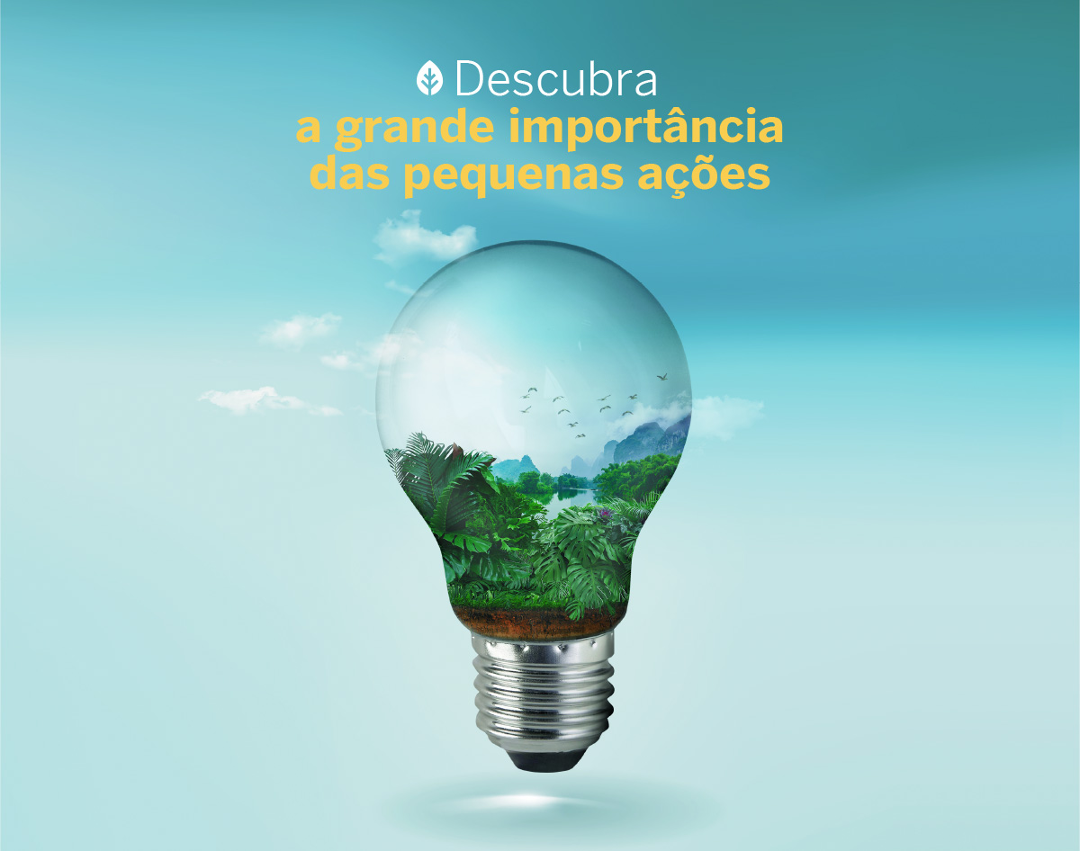 Descubra a grande importância das pequenas ações