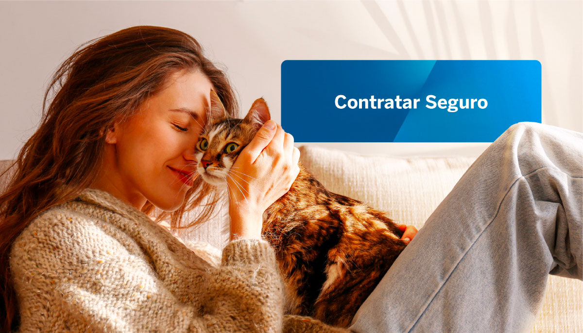 Seguro mapfre net animais domésticos.