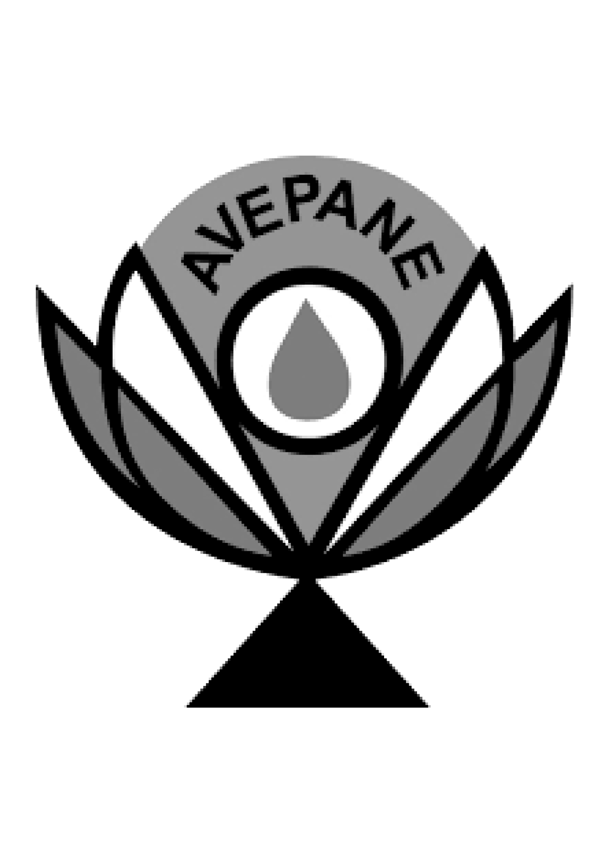 Fundación AVEPANE